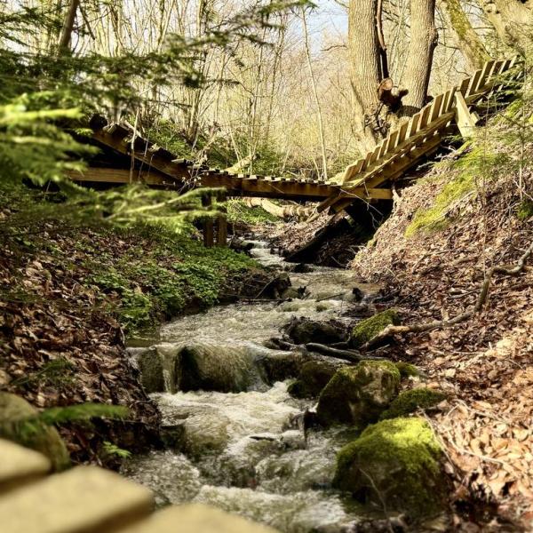 Mountainbikesporet Skovhuggeren i Svendborg med bro