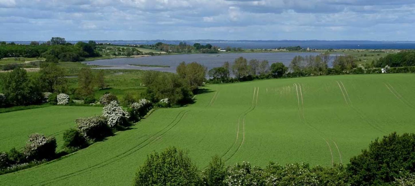 Vitsø set fra Søby Volde. Ærø - Geopark Det Sydfynske Øhav.